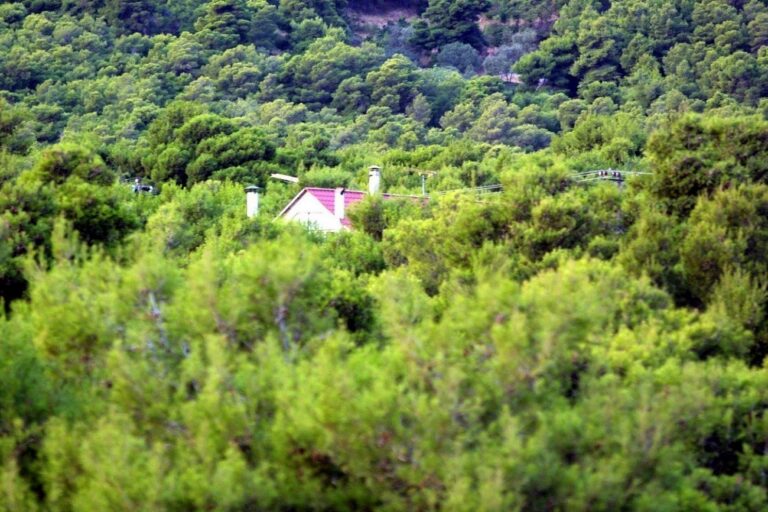Εντάχθηκαν από το Πράσινο Ταμείο οι 12 πρώτοι δήμοι στο πρόγραμμα πυροπροστασίας οικισμών του ΥΠΕΝ