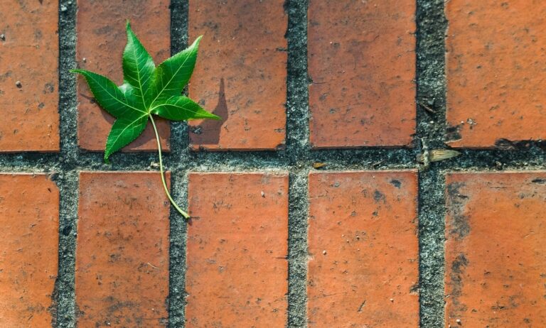 Βιώσιμη Δόμηση: Πώς τα Climablock Eco της Μαλιούρης Group συμβάλλουν στην εξοικονόμηση ενέργειας & πόρων;